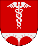 Bengtsfors kommuns stadsvapen.