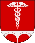 Bengtsfors kommuns stadsvapen.
